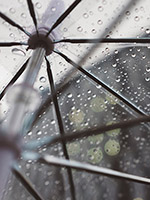 unbrella-insurance